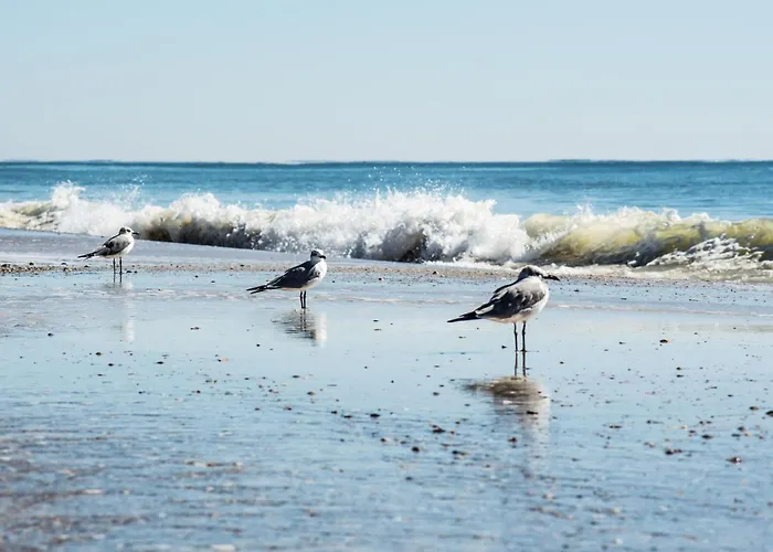 Direct Gulf Views With Deeded Beach Access